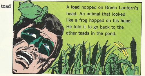 toad - A toad hopped on Green Lantern's head. An animal that looked like a frog hopped on his head. He told it to go back to the other toads in the pond.